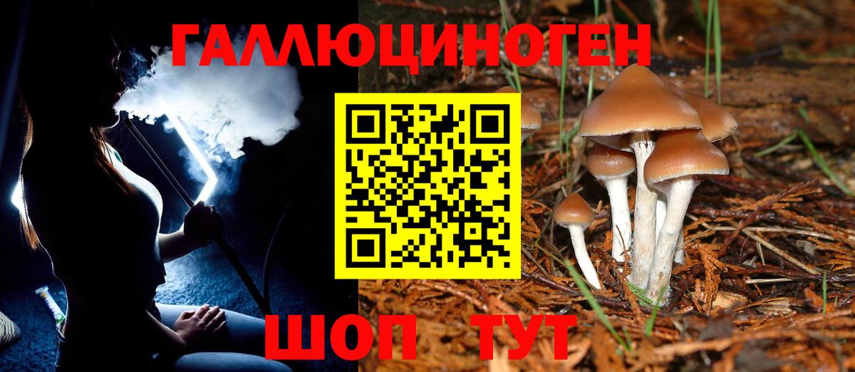 Псилоцибиновые грибы Magic Shrooms  Вход с VPN  Галлюциногенные грибы MAGIC MUSHROOMS  Людиново 
