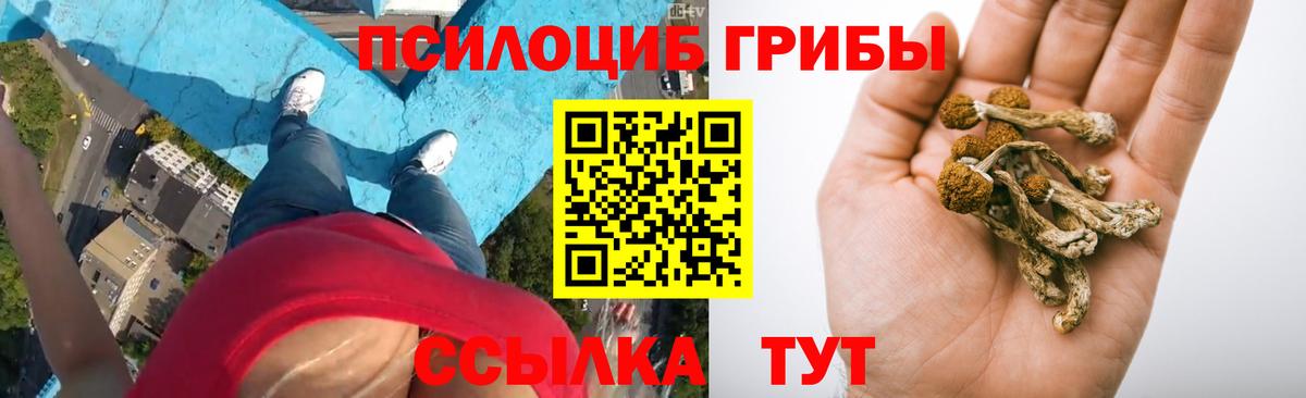 Псилоцибиновые грибы мухоморы Людиново